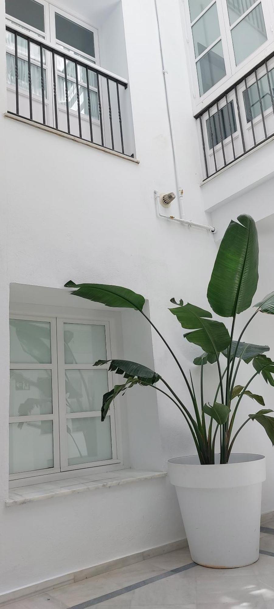 El 2 De Flamenco Bajob Apartment กาดิซ ภายนอก รูปภาพ